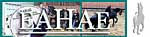 EAHAE European Association for Horse Assisted Education