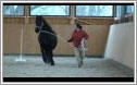 F�hrungskr�ftetraining