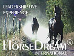 HorseDream International Leadership Live Experience