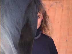 Face to Face with Horses