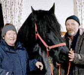 stern Neuanfang