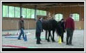 Teamtraining