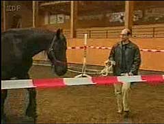 zdf-mdicben2.jpg (8086 Byte)
