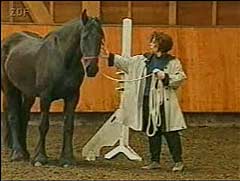 zdf-motivieren.jpg (9026 Byte)